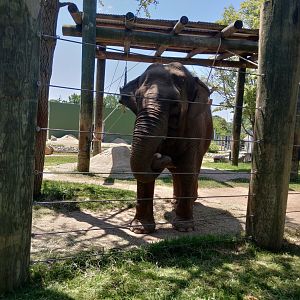Emily with her ice treat