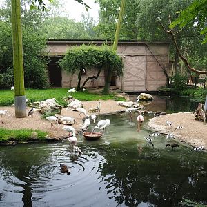 African waterfront aviary, 2019-06-26