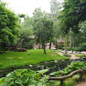 African waterfront aviary, 2019-06-26