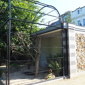 Construction of new parrot aviaries - Reconstruction of 1856 bird-of-prey aviaries, 2019-06-22