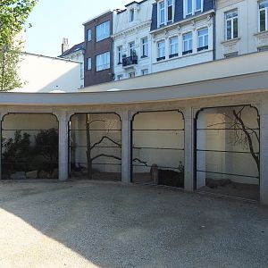 Construction of new parrot aviaries - Reconstruction of 1856 bird-of-prey aviaries, 2019-06-22