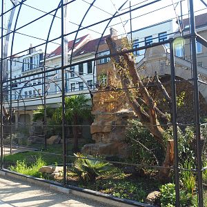 Construction of new parrot aviaries - Reconstruction of 1856 bird-of-prey aviaries, 2019-06-22