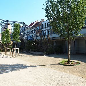Construction of new parrot aviaries - Reconstruction of 1856 bird-of-prey aviaries, 2019-06-22