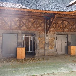 Bovine house, 2019-06-22