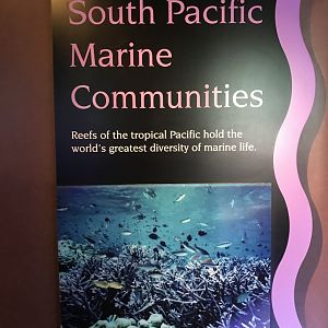 Entrance to South Pacific Marine Communities