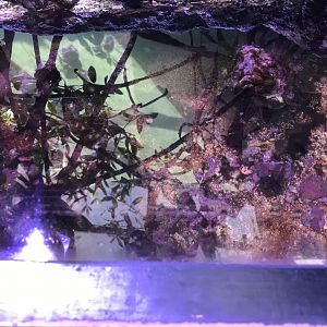 View from the side viewing area