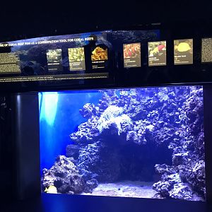 Marine aquaculture exhibit