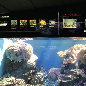 Lagoon exhibit