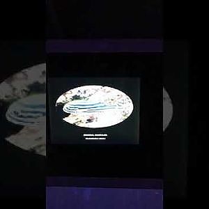 Waikiki Aquarium Deep Reef Rotation - YouTube