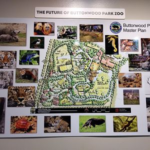 Buttonwood Park Zoo master plan