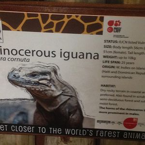 Signage Example, 9th July 2019