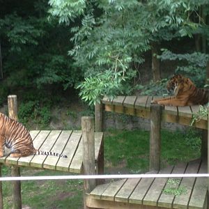 Daseep and Joao, 9th July 2019