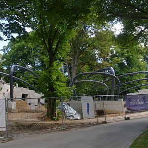 Aralandia Construction at Wuppertal, 16/06/19