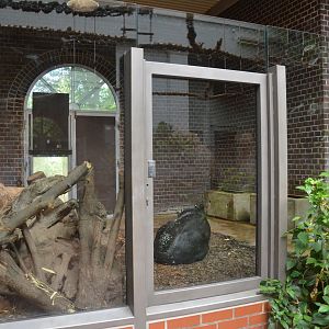 Tapir/South America House at Wuppertal, 16/06/19