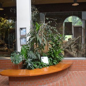 Tapir/South America House at Wuppertal, 16/06/19