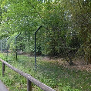 Kirk's Dik-dik Enclosure at Wuppertal, 16/06/19