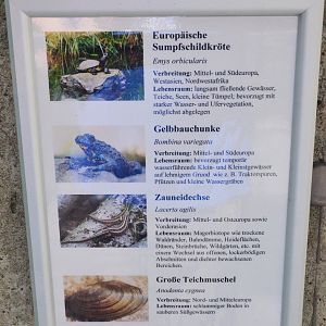 Reptiliary Signage at Wuppertal, 16/06/19