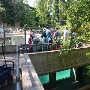 Polar Bear Enclosure at Wuppertal, 16/06/19