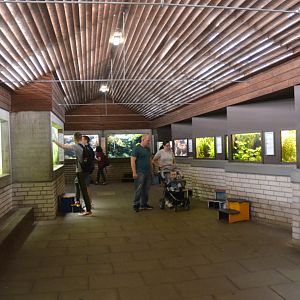 Aquarium Interior at Wuppertal, 16/06/19