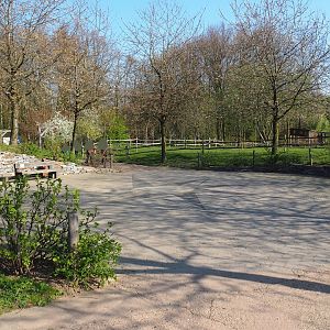 Path from the parking lot to the entrance - Compass rose area, 2019-03-30