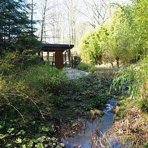 Entrance area - Walkway through valley area, 2019-03-30