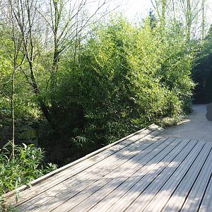 Entrance area - Walkway through valley area, 2019-03-30