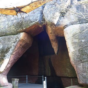 Entrance area cave passage, 2019-03-30