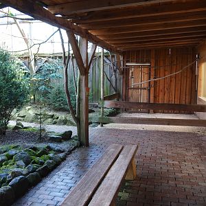 Australian aviary, 2019-03-30