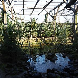 Australian aviary, 2019-03-30