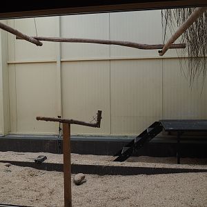 Alien species aviary indoor housing, 2019-03-30