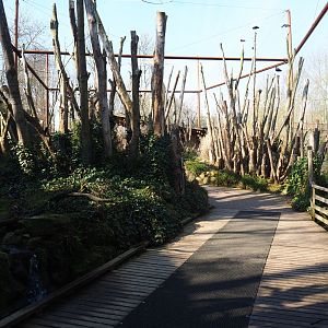 Alien species aviary, 2019-03-30