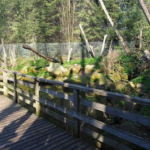 Pond and bridge in the alien species aviary, 2019-03-30
