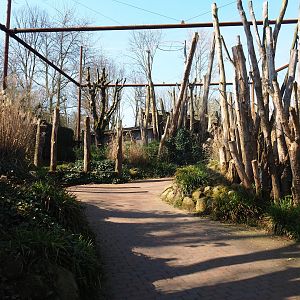 Alien species aviary, 2019-03-30