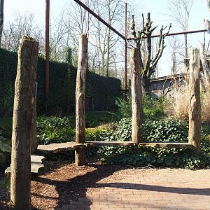 Alien species aviary, 2019-03-30