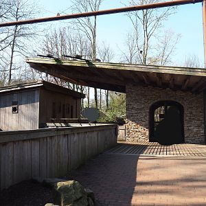 Alien species aviary - Parakeet house and shelter with entrance, 2019-03-30