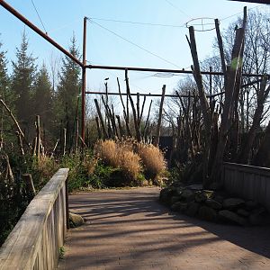 Alien species aviary, 2019-03-30