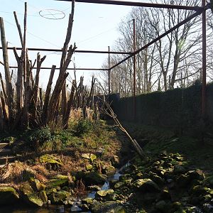 Alien species aviary, 2019-03-30