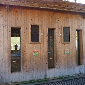 Alien species aviary parakeet house, 2019-03-30