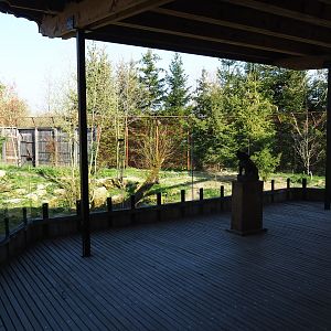 Eurasian wolf viewing area, 2019-03-30