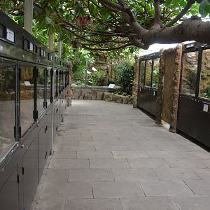 Terrarium Interior at Wuppertal, 16/06/19