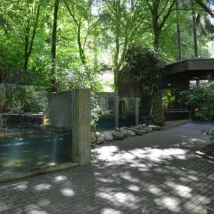 European Beaver Enclosure at Wuppertal, 16/06/19