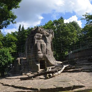 Siberian Ibex Enclosure at Wuppertal, 16/06/19