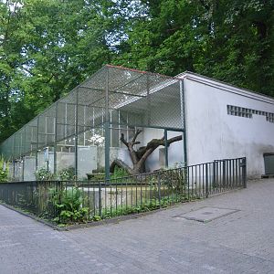 Small Cat House at Wuppertal, 16/06/19