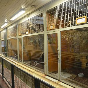 Small Cat House at Wuppertal, 16/06/19