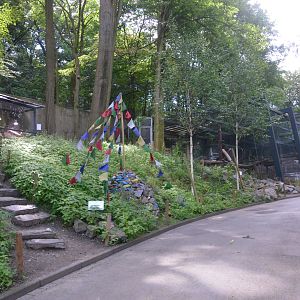 Snow Leopard Enclosures at Wuppertal, 16/06/19