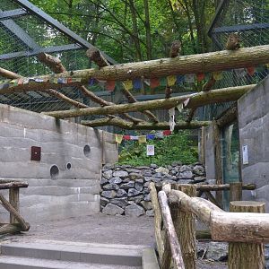Snow Leopard Enclosures at Wuppertal, 16/06/19