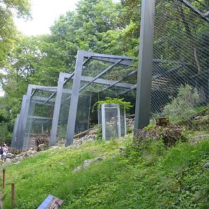 Snow Leopard Enclosures at Wuppertal, 16/06/19
