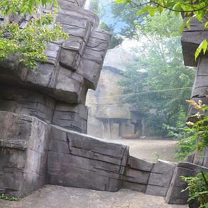 Amur Tiger Viewing Window at Wuppertal, 16/06/19