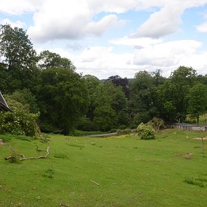 Vicuna, Patagonian Mara and Darwin's Rhea Enclosure at Wuppertal, 16/06/19