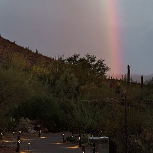 Rainbow over pathway